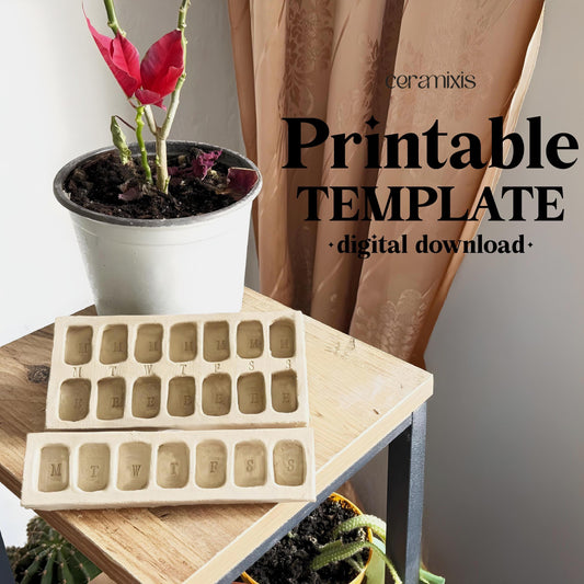 Pill Box Pottery Template, Daily Organizer, Ceramic Slab Building, Digital Download