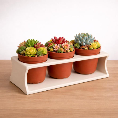 Succulent Planter Stand Pottery Template, Ceramic Slab Building, Digital Download