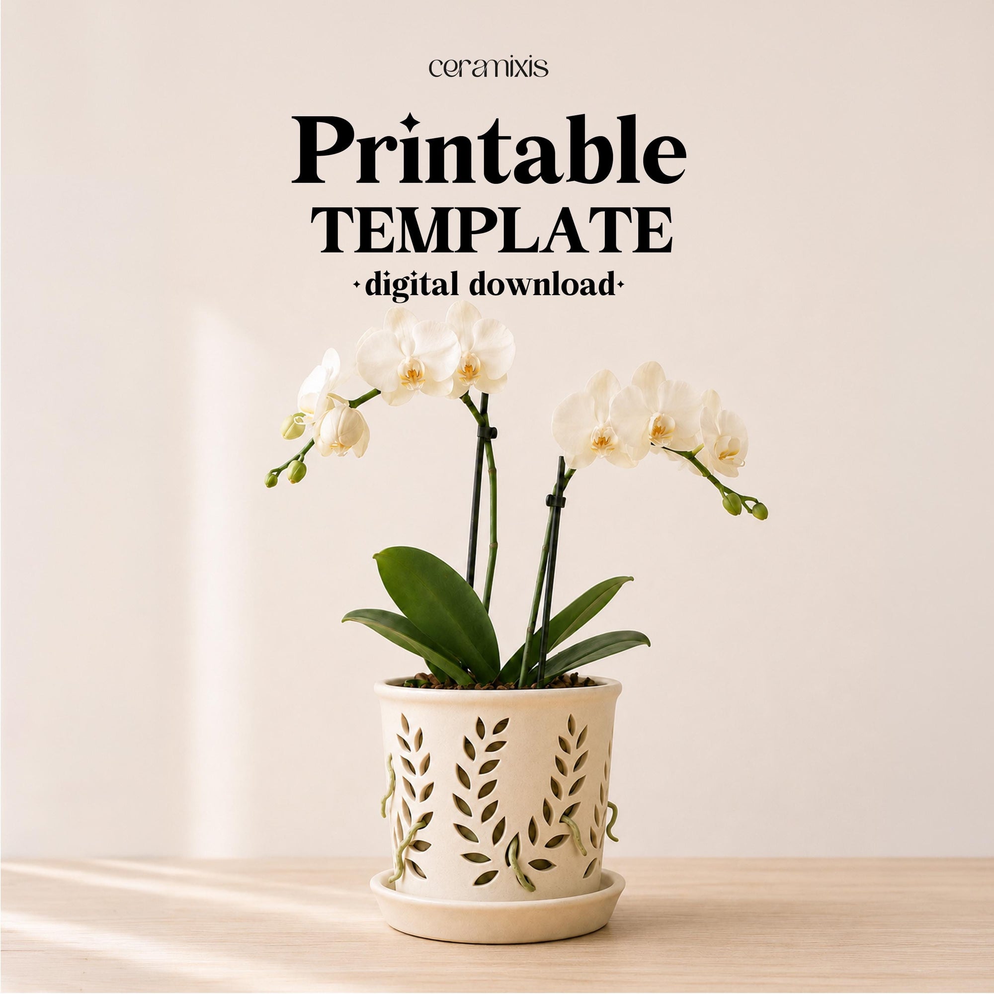 Orchid Pot Pottery Template, Orchid Planter Ceramic Slab Building, Digital Download
