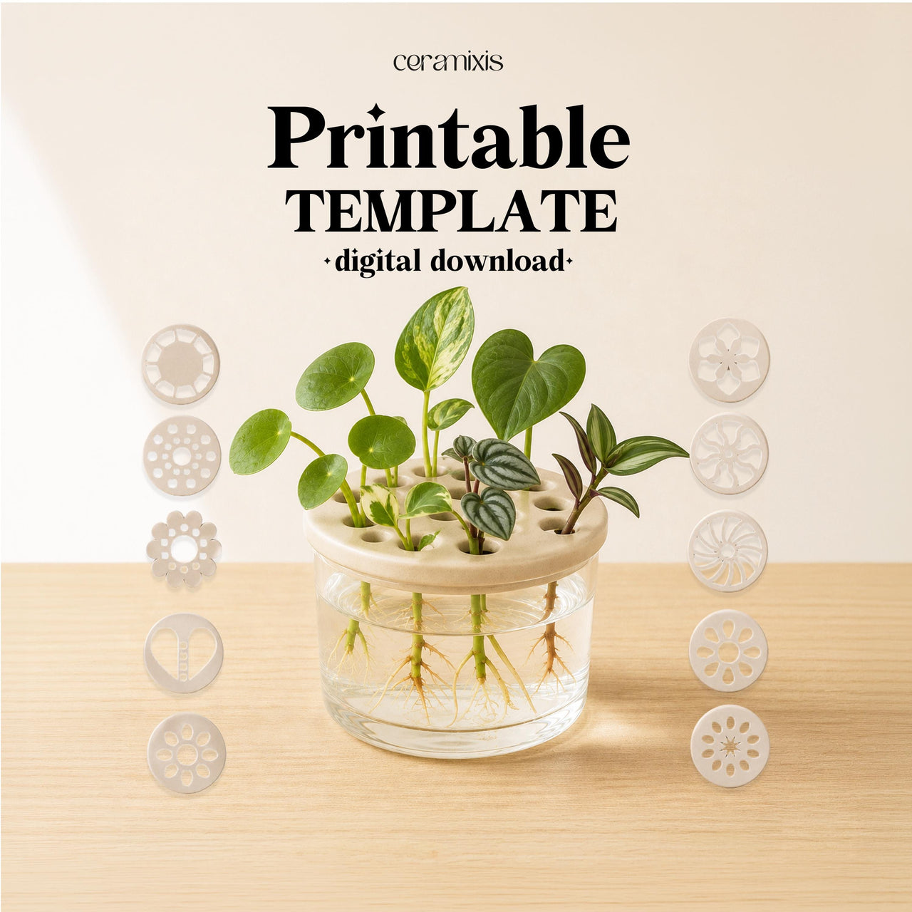 Plant Propagation Lid Bundle Pottery Template, Ceramic Flower Frog Jar Topper, Slab Building PDF