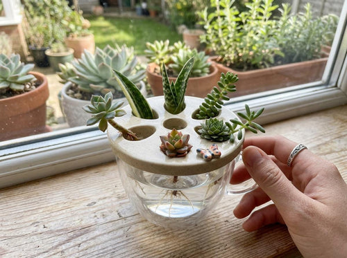 Plant Propagation Lid Bundle Pottery Template, Ceramic Flower Frog Jar Topper, Slab Building PDF